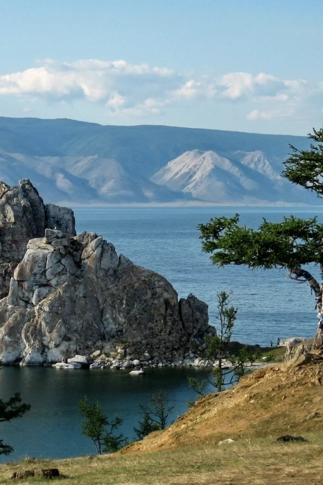природа, пейзаж, дерево