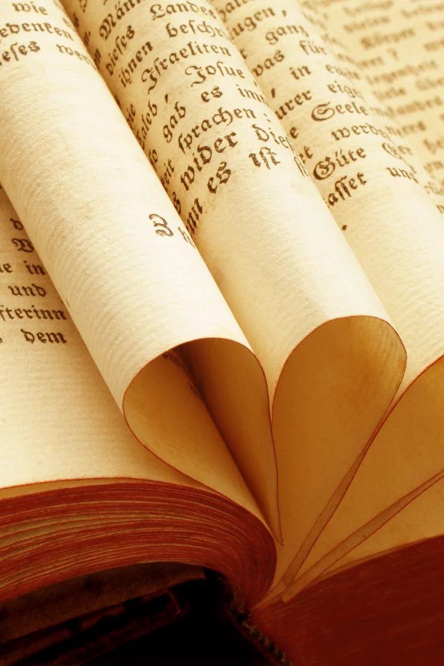 книга, макро, book, macro