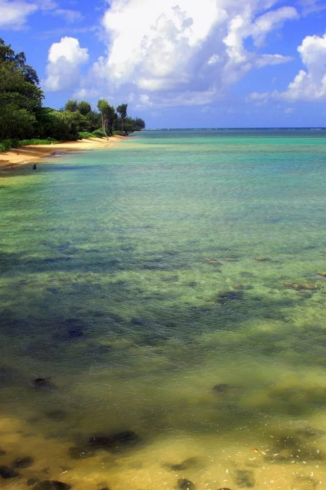 деревья, облака, вода, море