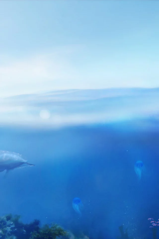 игры, вода, games, дельфин, медузы, рыбы, ecco the dolphin, море