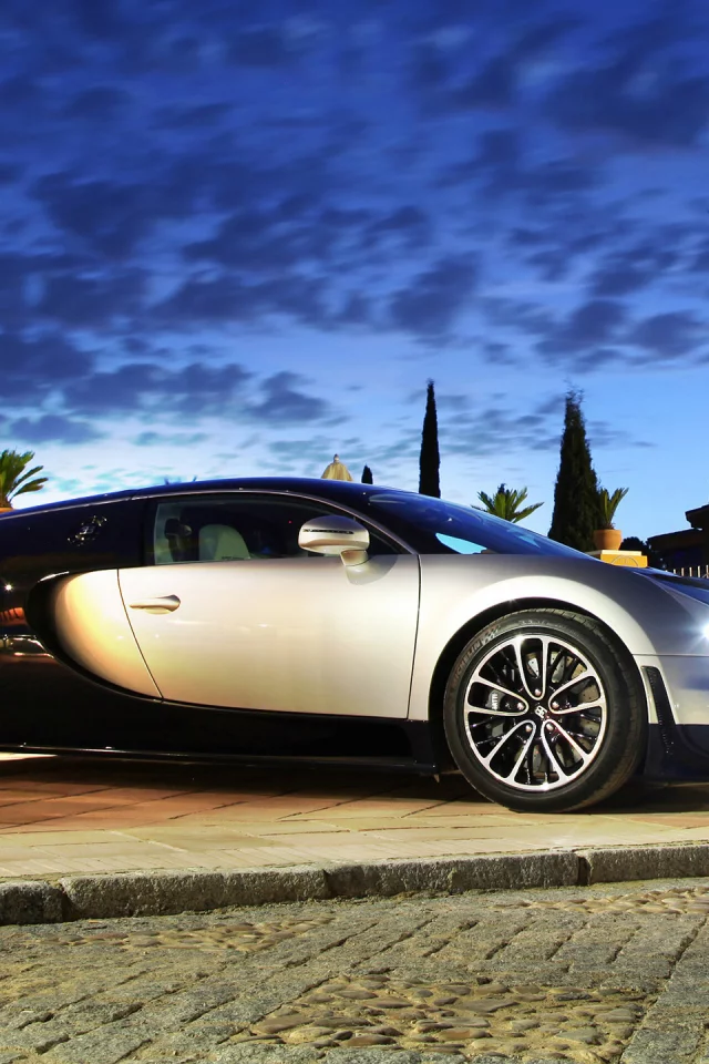 ss, растения, veyron, bugatti, фары, вечер