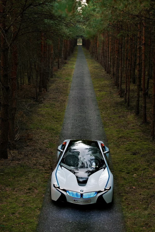обои, лес, сосны, прототип, vision, дорога, bmw, dynamics