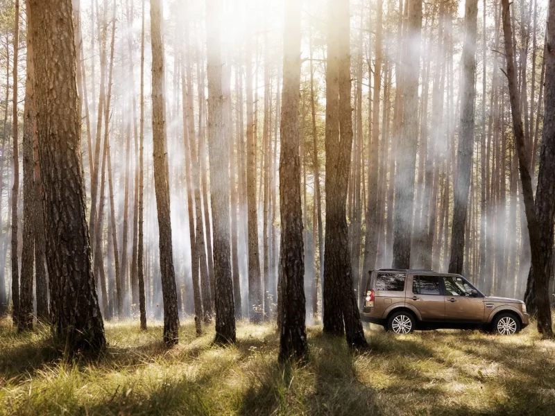 auto, деревья, land rover