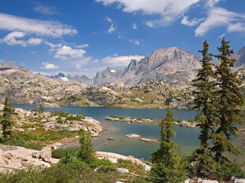 природа, usa, лес, island lake, bridger national forest, bridger wilderness, горы, озеро