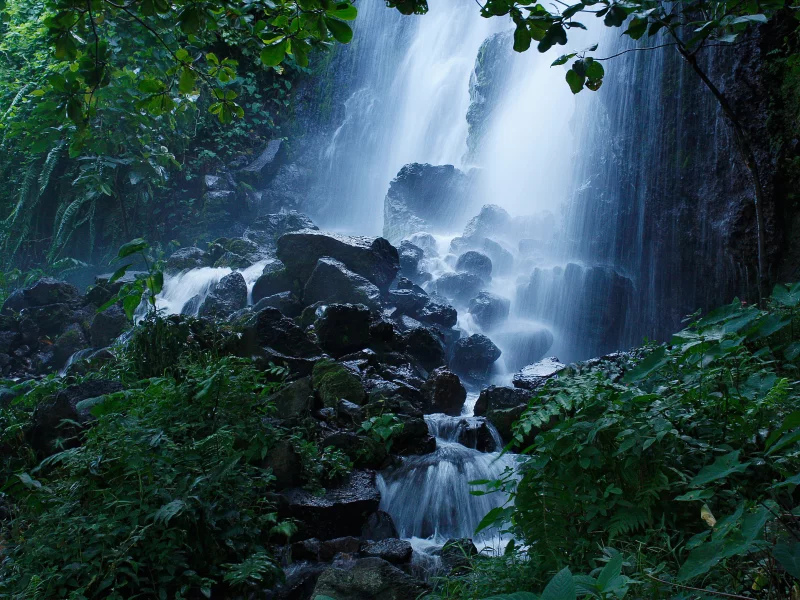 камни, лес, водопад