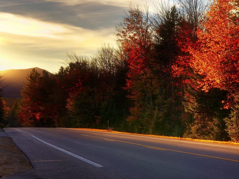 дорога, kancamagus highway, new hampshire, деревья
