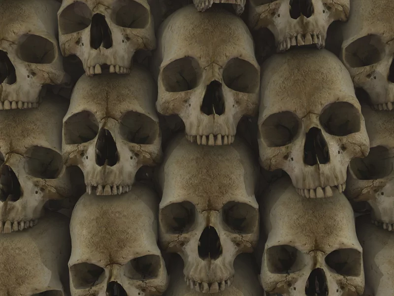 текстура, череп, skull