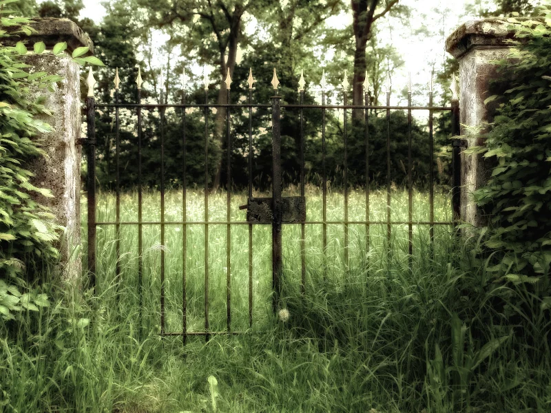 креатив, ворота, фото, матушка природа, трава