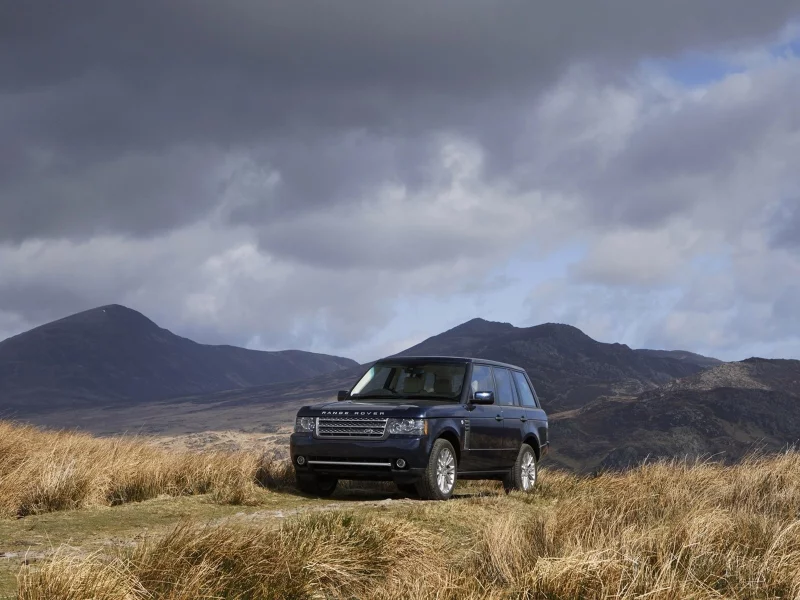 land rover, поле, трава, black, авто, range rover, машины