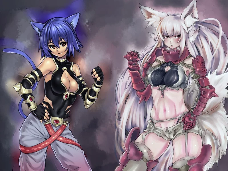 кошки, одежда, neko girls, броня, девушки