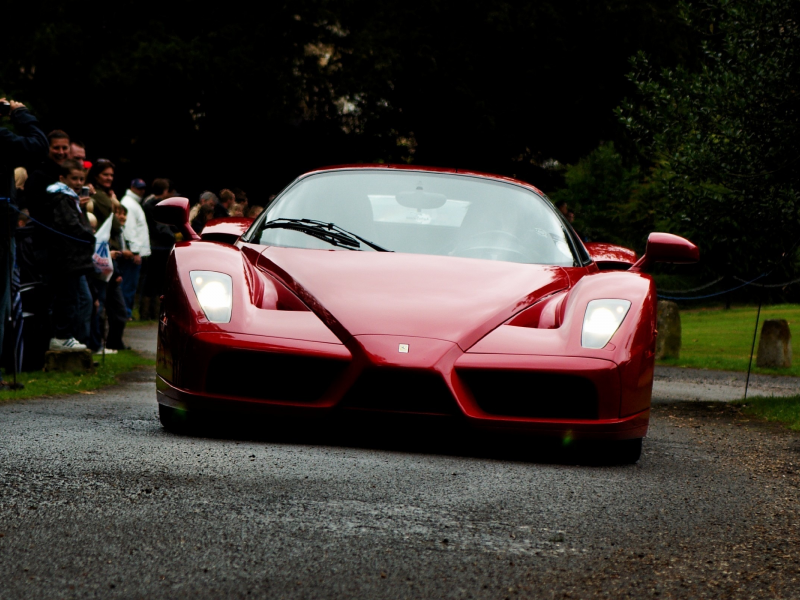 ferrari enzo, red, f50