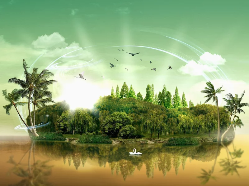 остров, island paradise, лебеди