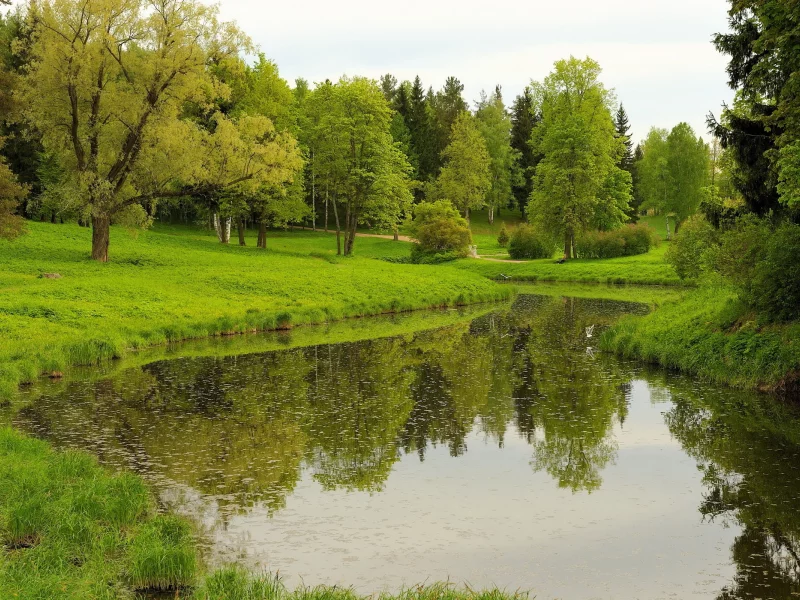 парк, лето, озеро