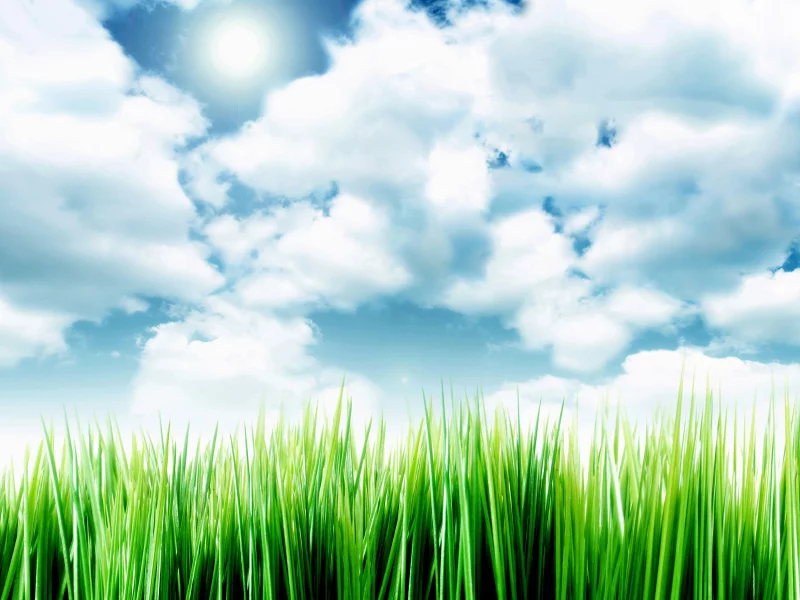 sky over the grass, небо, облака, травка