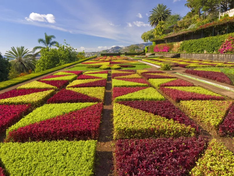 madeira, portugal, formal gardens