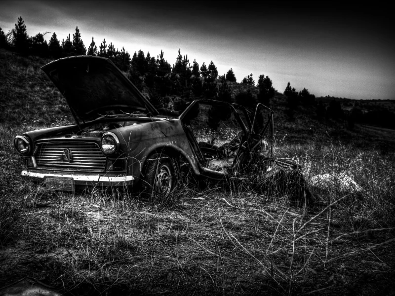 помятый, остов, трава, чб, деревья, cooper, mini