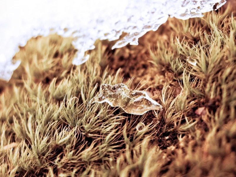 ice, трава, grass, лёд, drop