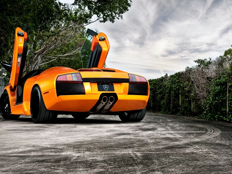 тачки, lamborghini, авто обои, murcielago, cars, auto wallpapers