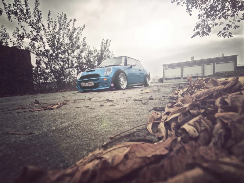 auto, деревья, city, природа, mini cooper, желтые, cars, листья, wallpapers auto, blue, осень