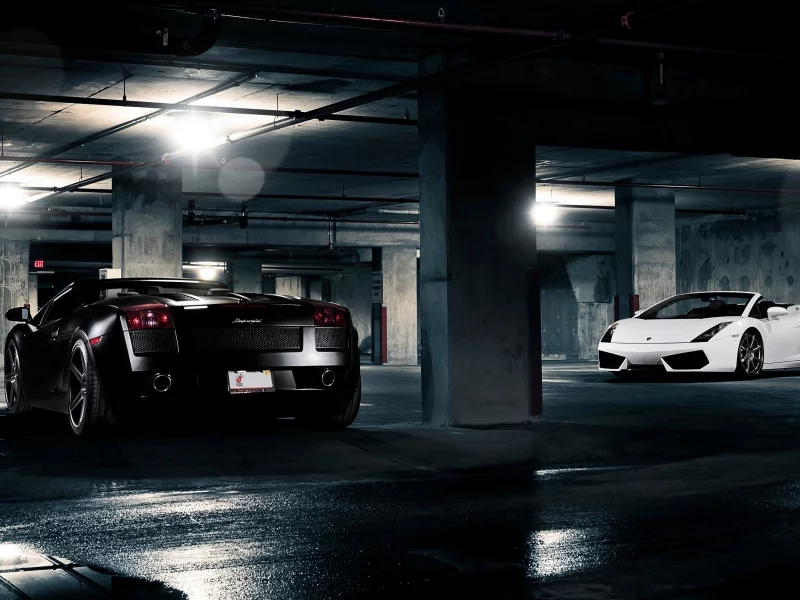 чёрный, авто фото, cars, auto wallpapers, lamborghini, тачки, авто обои, gallardo, белый