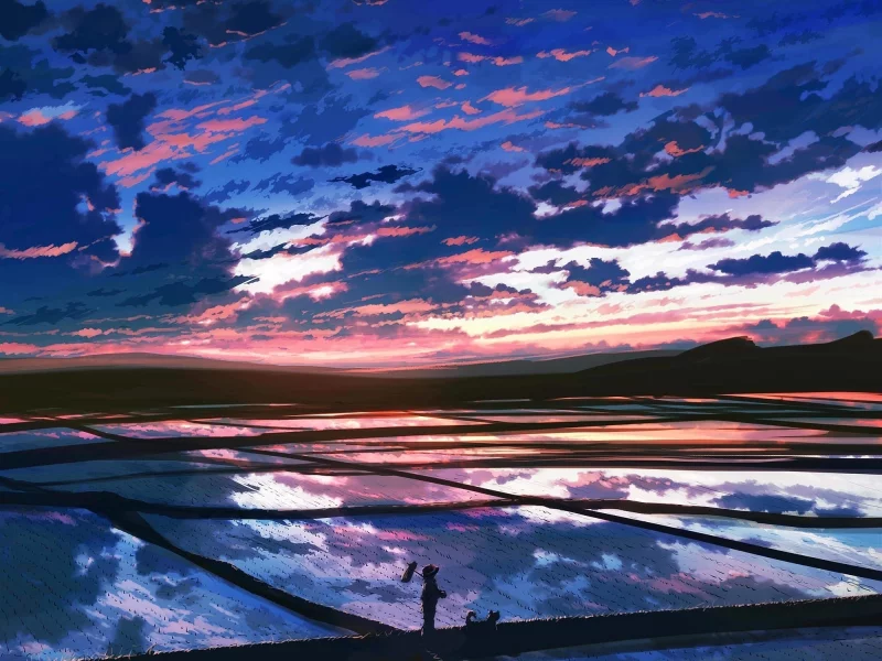 голубое, рассвет, облака, рисовое поле, небо, красивые, purple clouds