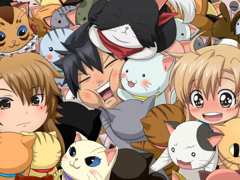 kousaka junpei, много кошек, mizuno kaede, кошки, sumiyoshi kanako, nyan koi