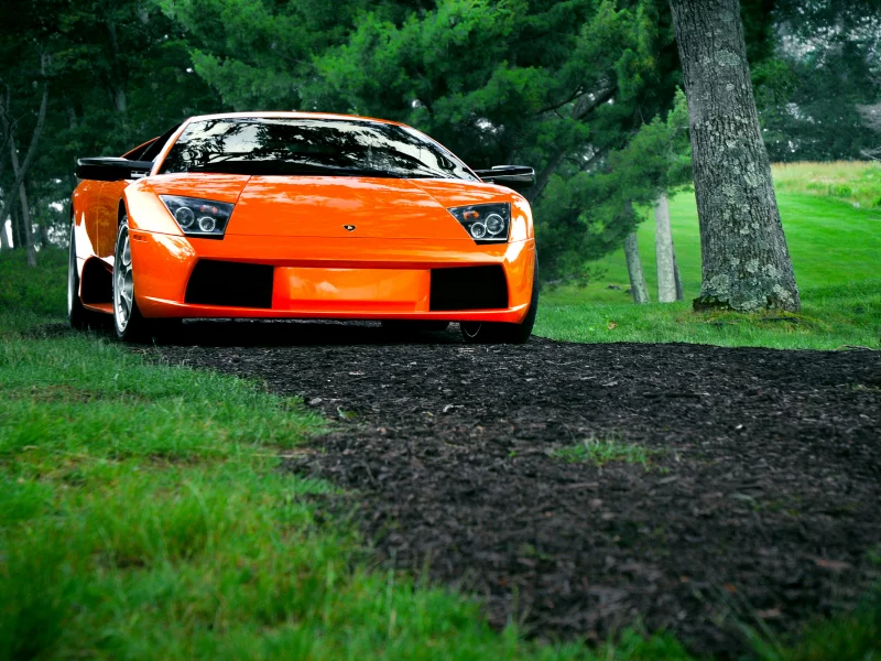 bull, murcielago, lamborghini, orange