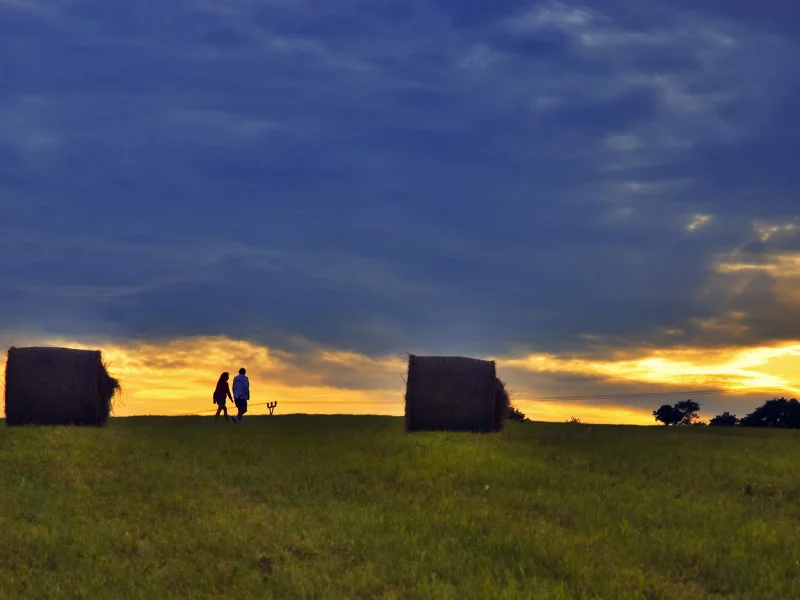 поле, прогулка, закат, роллы
