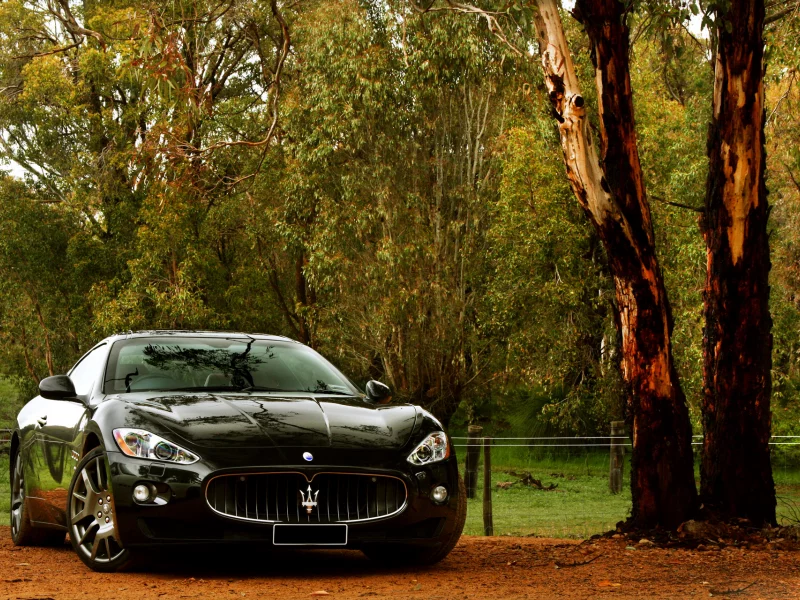 maserati, природа, granturismo