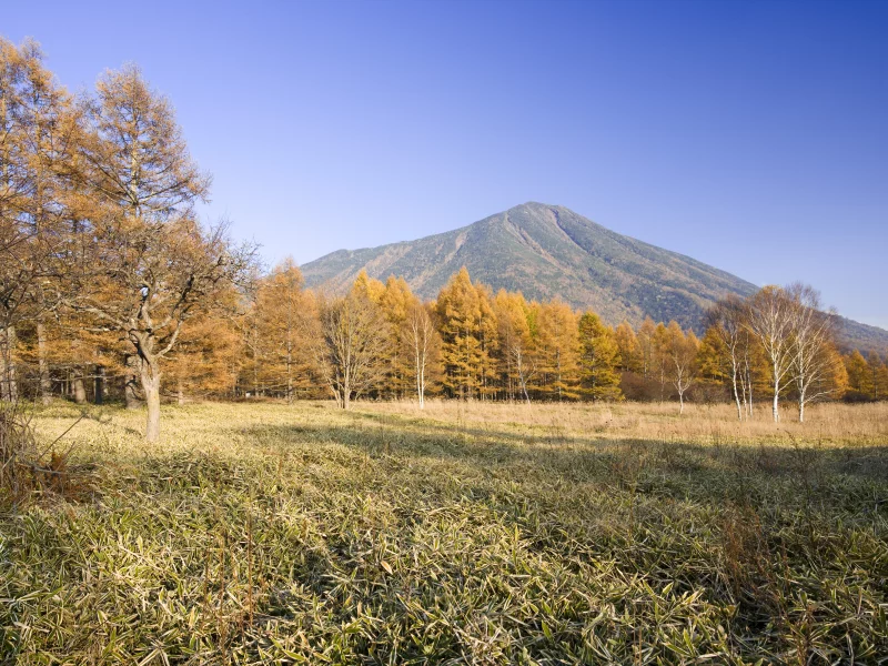 тотиги, tochigi, japan, япония