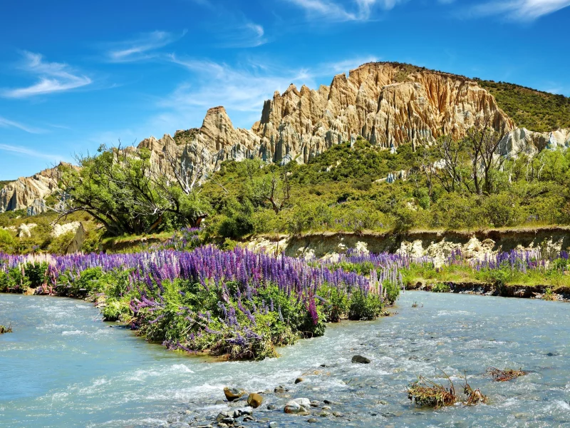 природа, река, горы, лаванда, highlands lavender, небо, деревья, скалистые, цветение, голубое