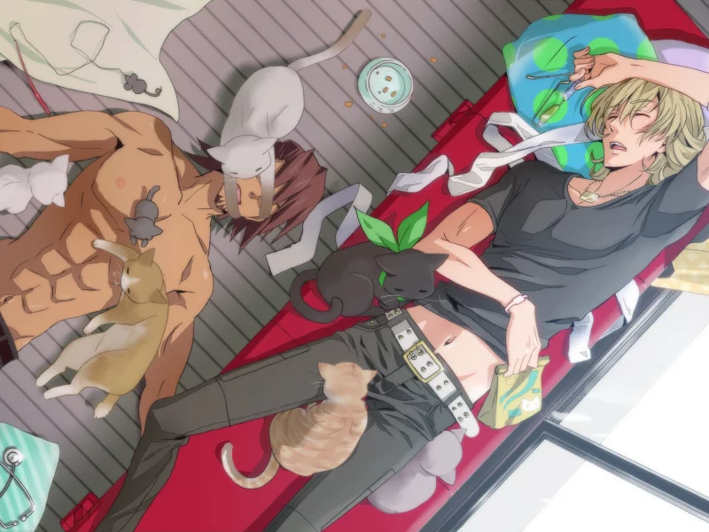 кошки, kaburagi t kotetsu, комната, диван, спят, tiger & bunny, парни, barnaby brooks jr, котэ
