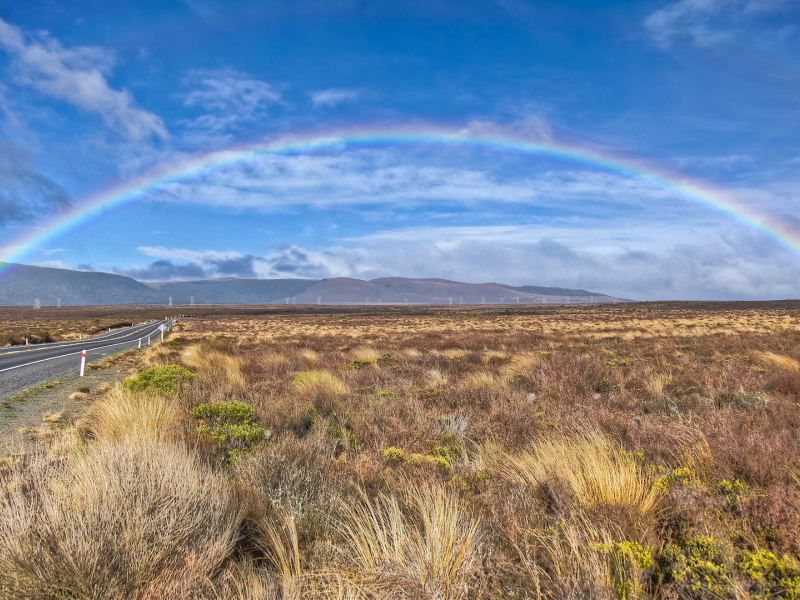 новая, зеландия, пейзаж, дорога, радуга, трава, new, zealand, природа, холмы