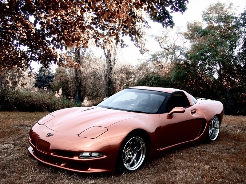 корвет, chevrolet corvette, шевролет