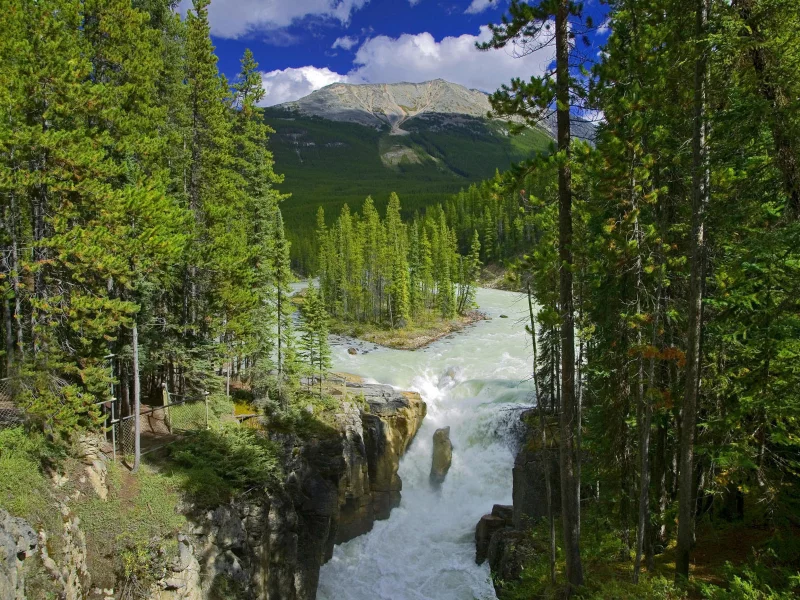 небо, горы, деревья, облака, водопад, лес