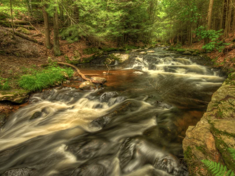 river, природа, trees, view, hdr, beautiful, вода, река, nature, лес, landscape, nice, пейзаж, water, деревья, scenery, forest, красивые, cool