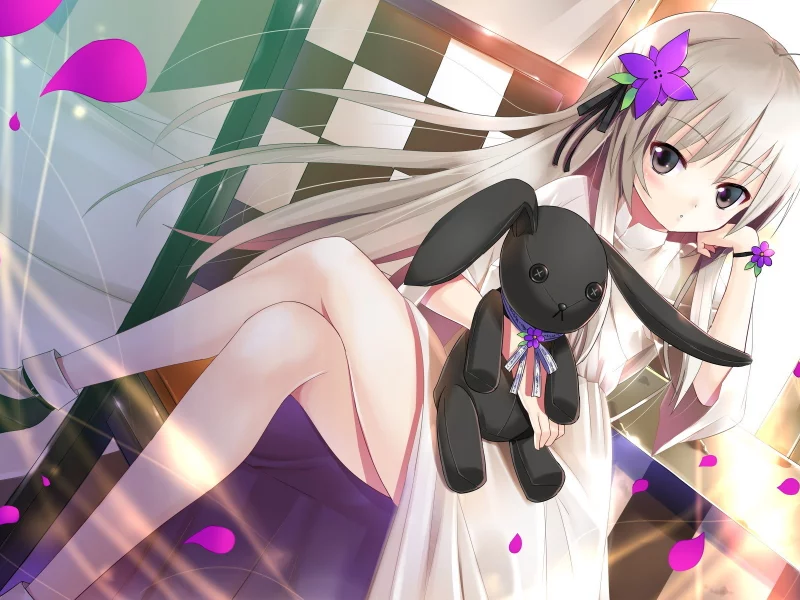 девушка, лепестки, yosuga no sora, черный кролик, kasugano sora, длинные волосы