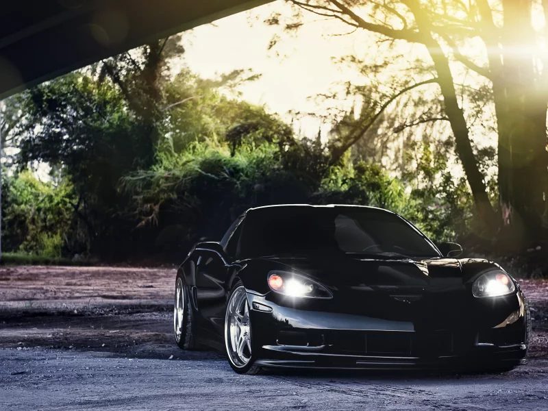 корвет, chevrolet, деревья, чёрный, шевроле, z06, corvette, black, блик, солнце