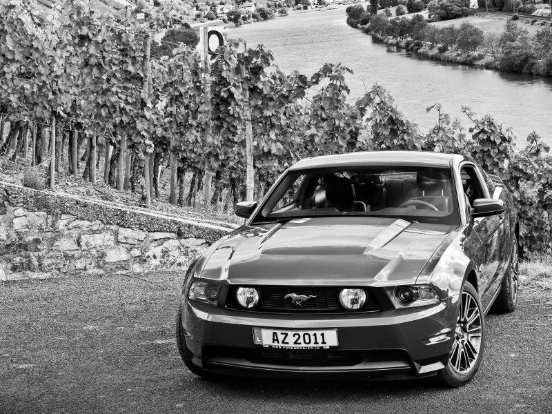 обои авто, cars wall, ford mustang, v8, gt, auto, cars