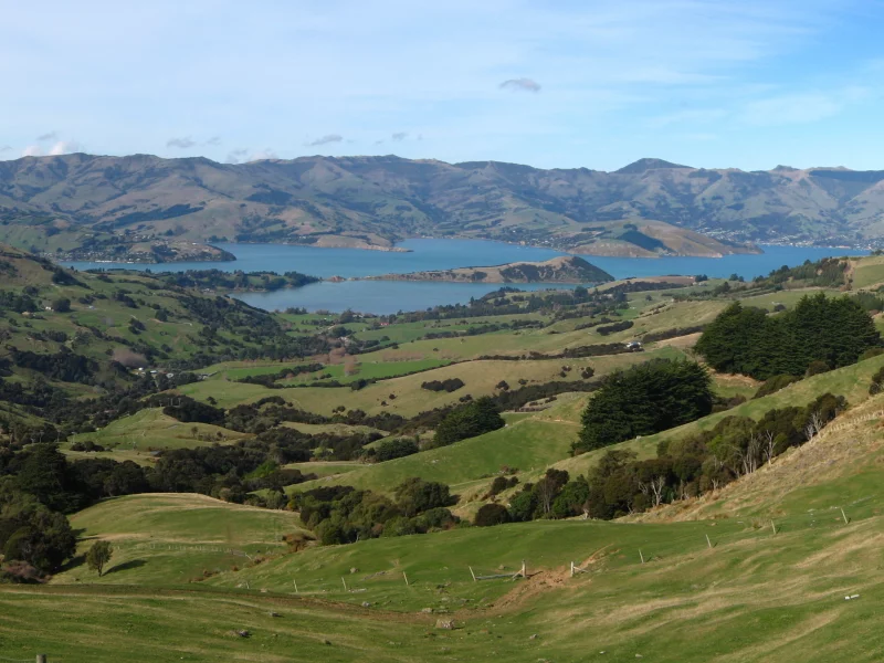 деревья, холмы, пейзаж, трава, природа, new zealand, пастбище, горы, лес, вода, поляна, горизонт, озеро, луг, дорога, фото, луга, новая зеландия