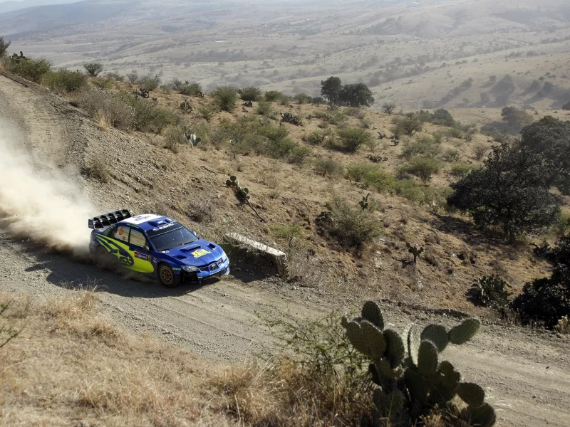 wrc, пыль, impreza, ралли, subaru, wrx, rally, дорога, sti, кактус