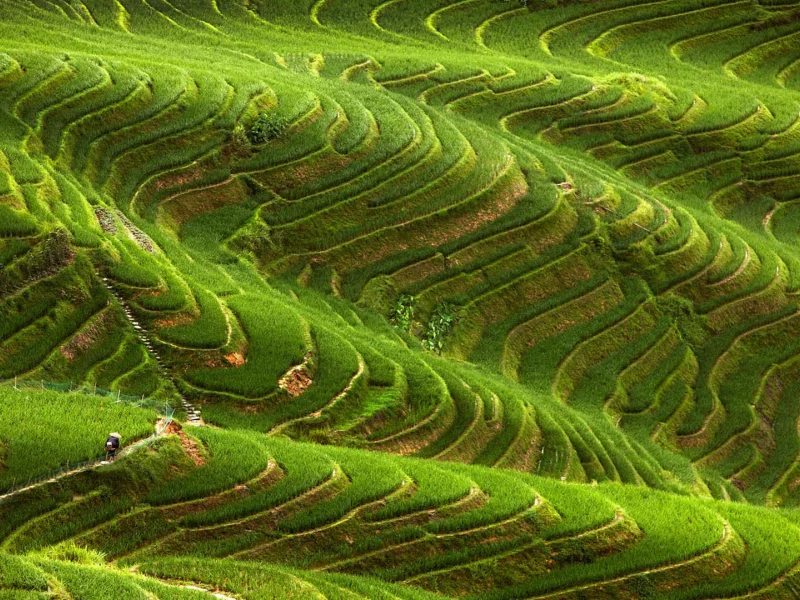 азия, холмы, national geographic