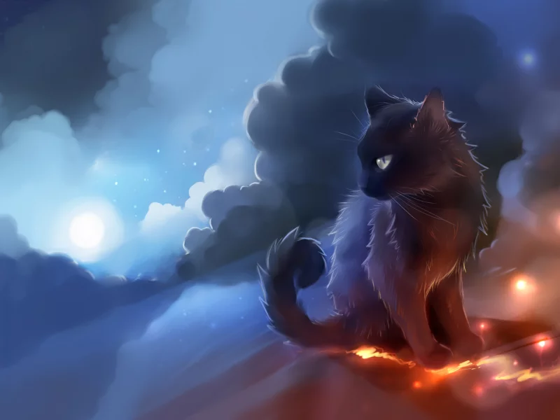 кошка, луна, усы, взгляд