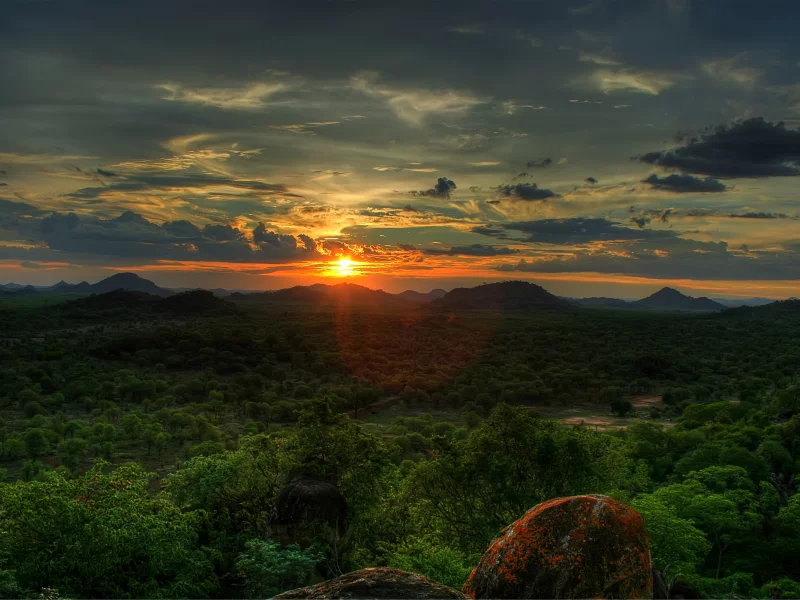 zimbabwe, african sunset, trees, закат, the sun, лес, sunset, sky