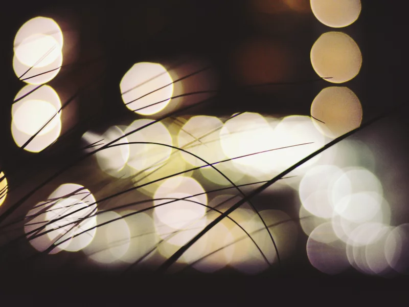 ночь, трава, bokeh