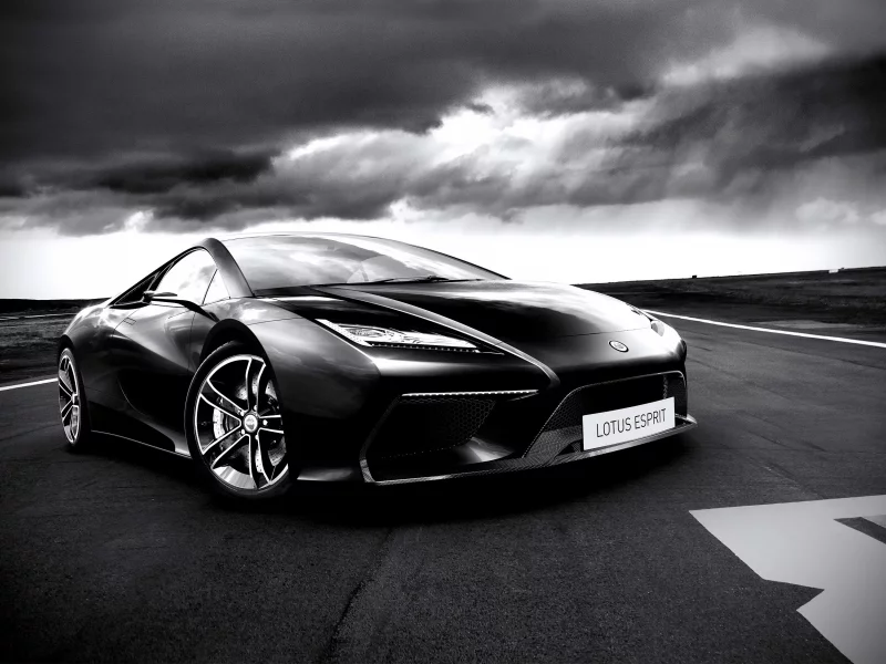 concept, lotus, esprit