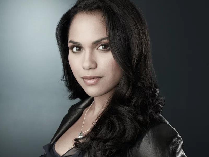 ria torres, обмани меня, взгляд, актриса, персонаж, волосы, лицо, теория лжи, моника реймунд, девушка, lie to me, сериал, monica raymund, риа торрес