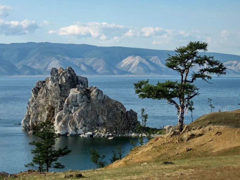 природа, пейзаж, дерево