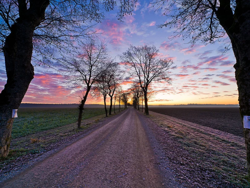 1920x1200, облака, природа, пейзаж, sky, sunset, road, trees, деревья, clouds, трава, небо, дорога, landscape, nature, grass, закат