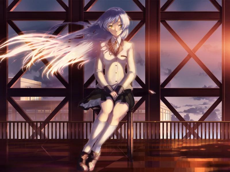 девушка, angel beats, длинные волосы, sunset, закат, крыша
